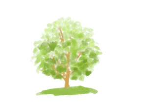 水彩画で描く樹木 幹 葉っぱ 木漏れ日の描き方 初心者さん向け水彩画とデッサン上達ブログ