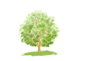 水彩画で描く樹木 幹 葉っぱ 木漏れ日の描き方 初心者さん向け水彩画とデッサン上達ブログ 水彩画で描く樹木 幹 葉っぱ 木漏れ日の描き方 初心者さん向け水彩画とデッサン上達ブログ